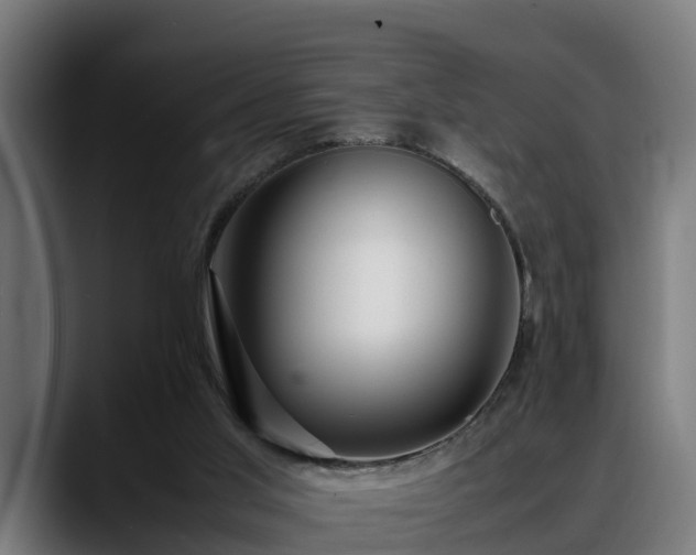 X0000088460013200705291539