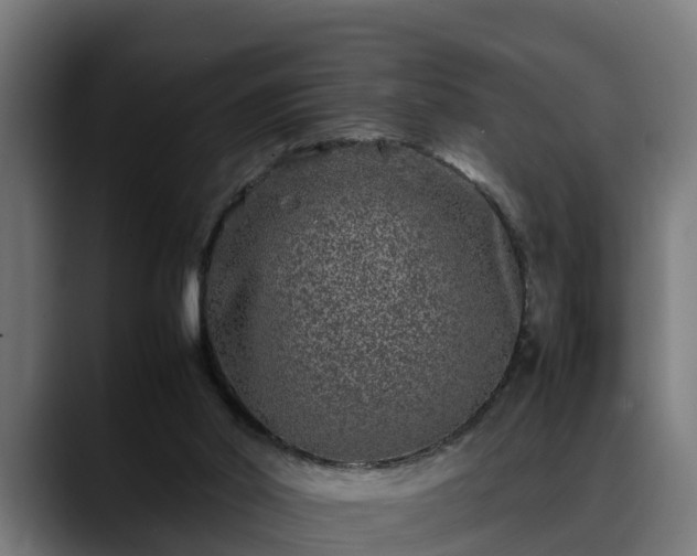 X0000088460014200705291539