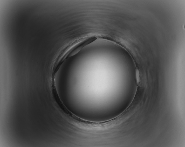 X0000088460015200705291539