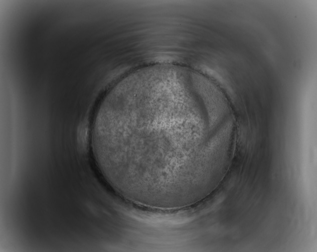 X0000088460016200705291539