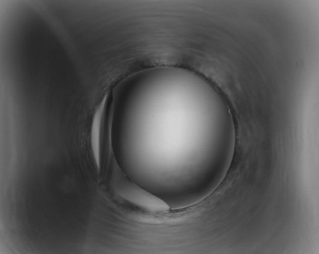 X0000088460017200705291539