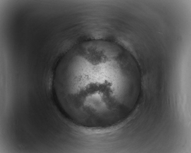 X0000088460018200705291539