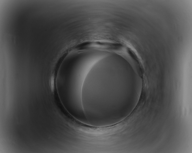 X0000088460019200705291539