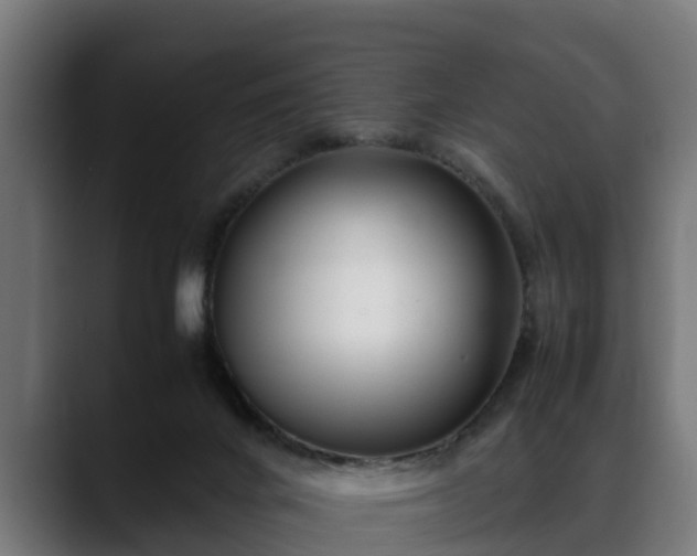 X0000088460024200705291539