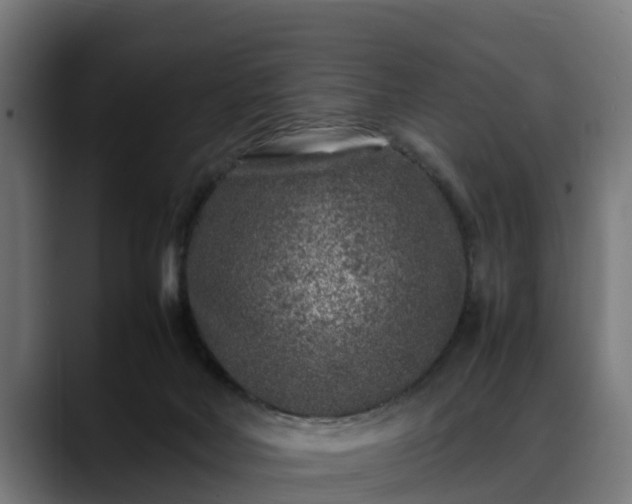 X0000088460026200705291539