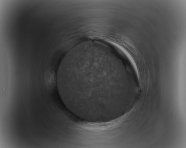 X0000088460029200705291538