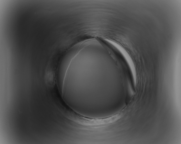 X0000088460031200705291538