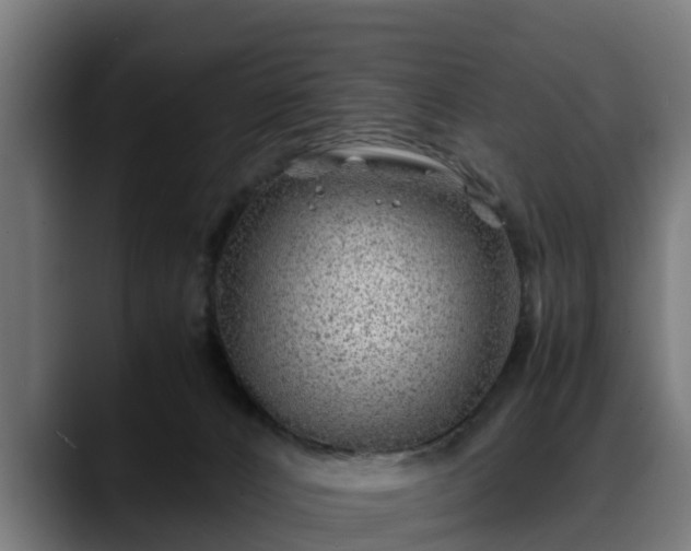 X0000088460032200705291538