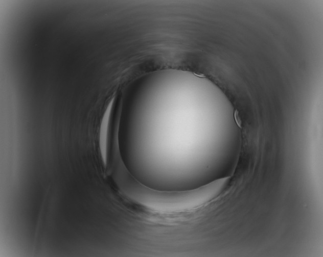 X0000088460033200705291538