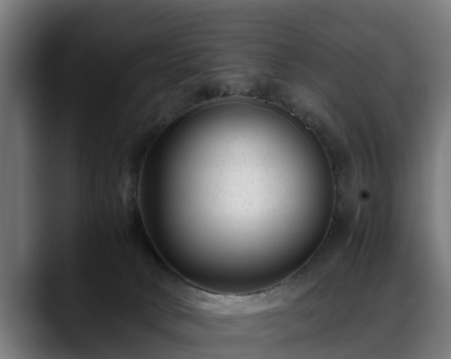 X0000088460034200705291538