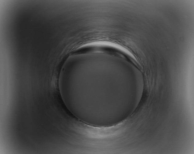 X0000088460035200705291538