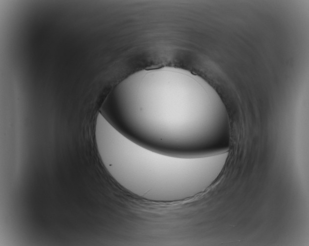 X0000088460037200705291538