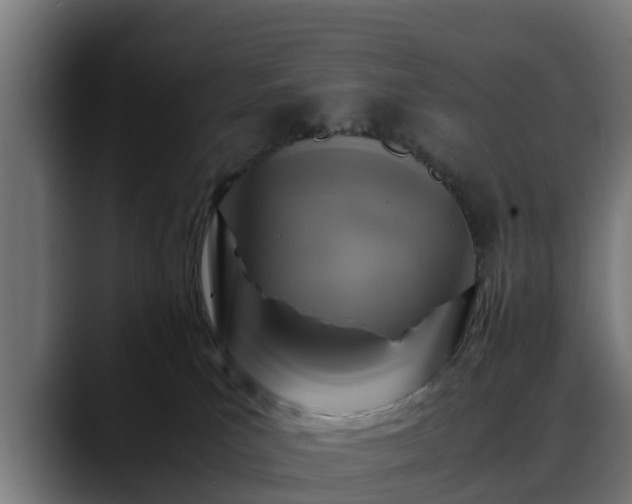 X0000088460039200705291538