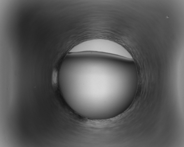 X0000088460041200705291538