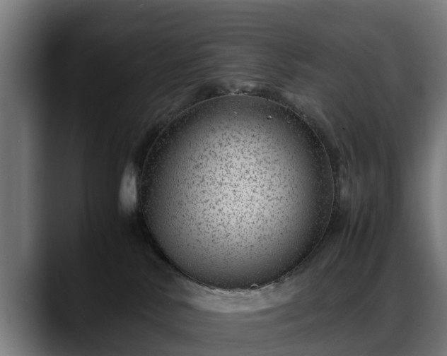 X0000088460042200705291538