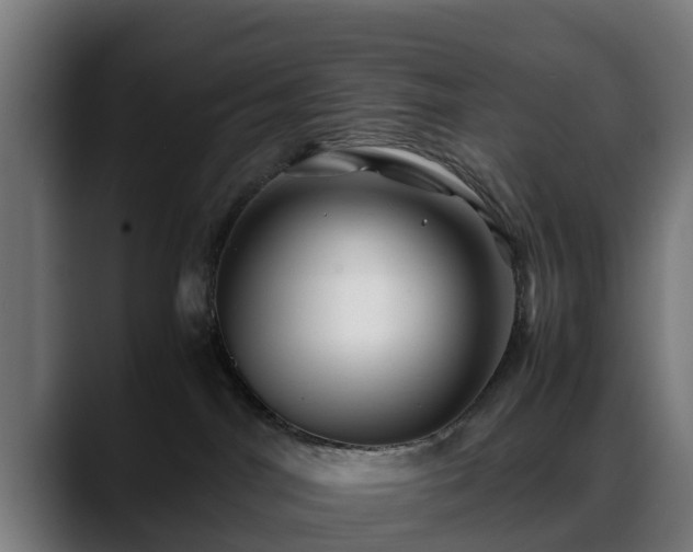 X0000088460044200705291538