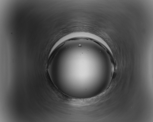 X0000088460045200705291538