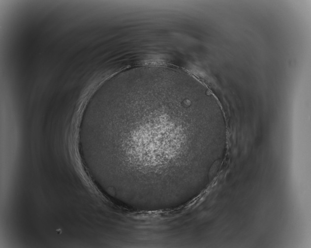 X0000088460049200705291538