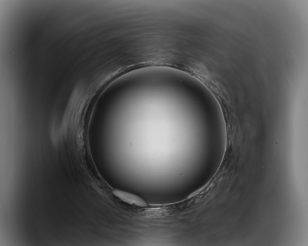 X0000088460050200705291538