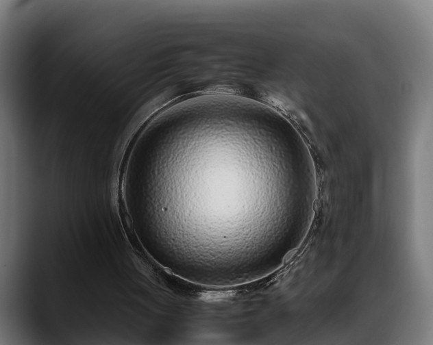 X0000088460051200705291538