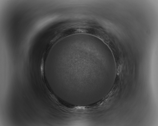 X0000088460052200705291538