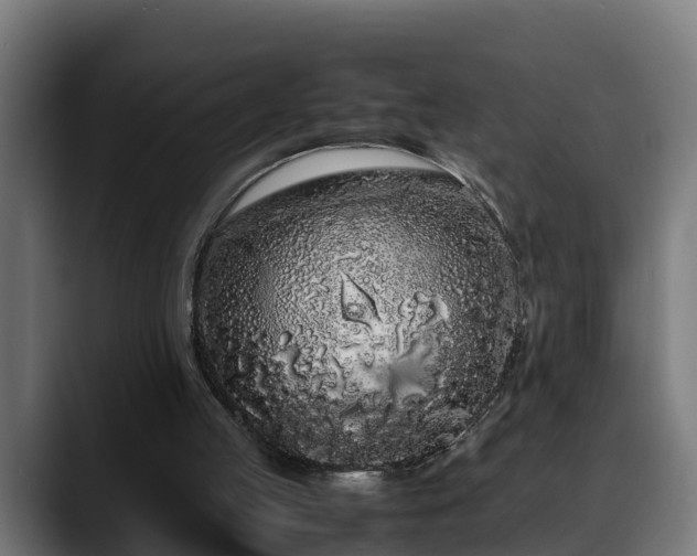 X0000088460053200705291538