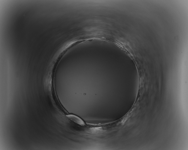 X0000088460054200705291538