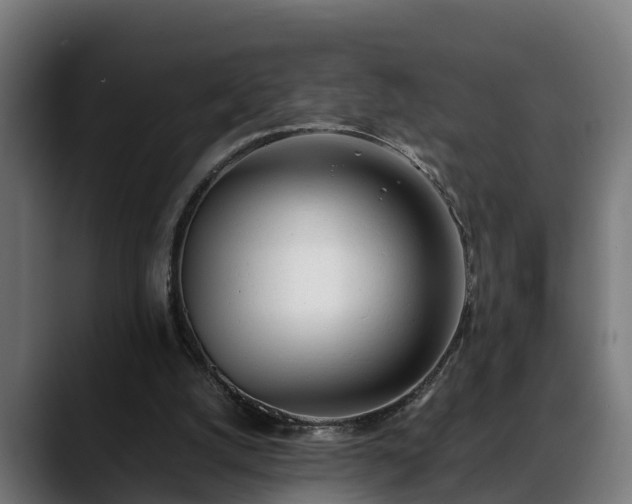 X0000088460056200705291538