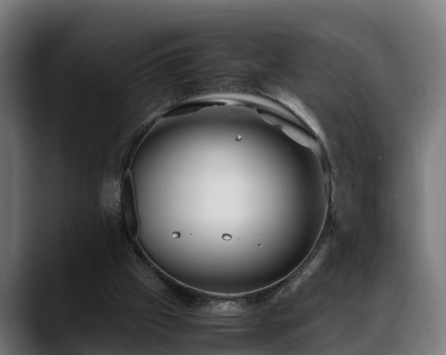 X0000088460057200705291538