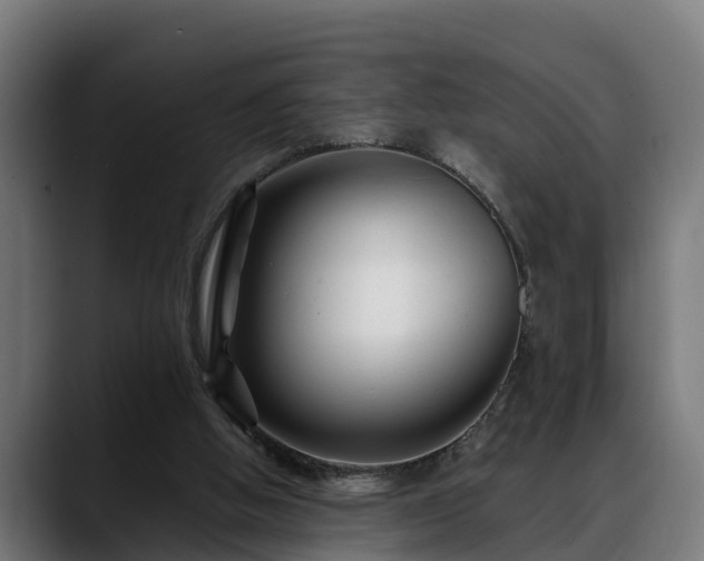 X0000088460058200705291538