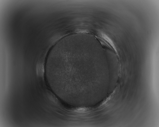 X0000088460059200705291538