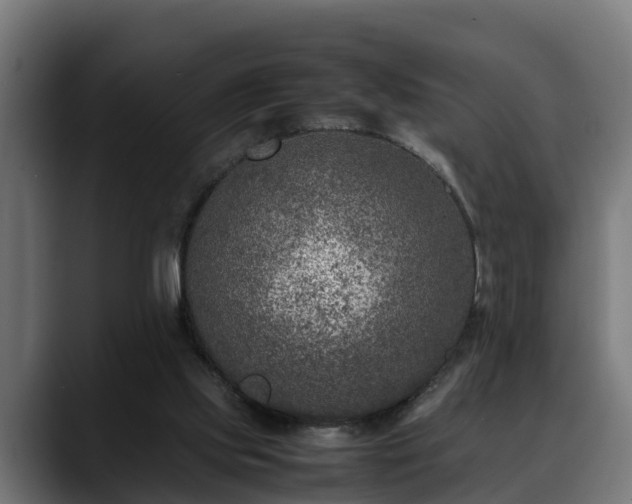 X0000088460061200705291538