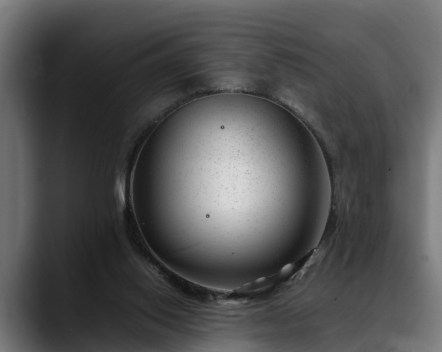 X0000088460062200705291538