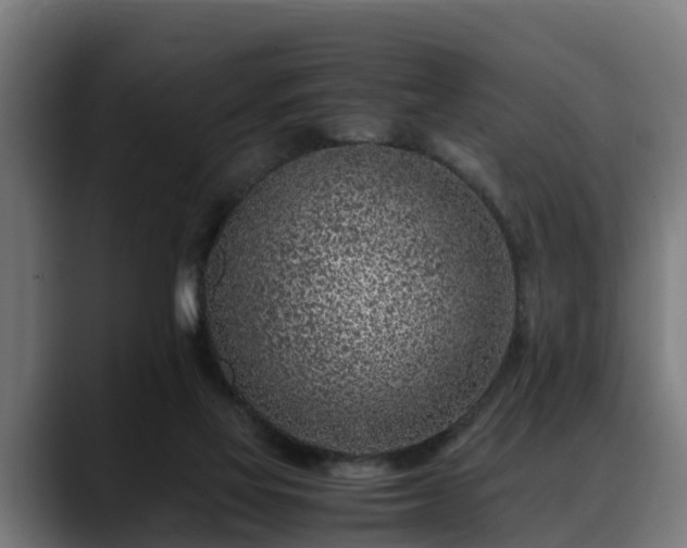 X0000088460069200705291538