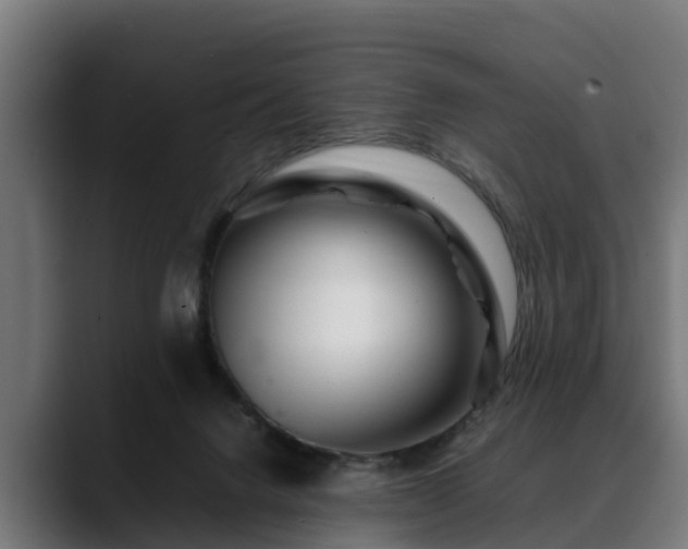 X0000088460072200705291538