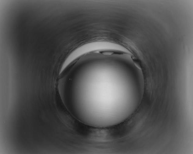 X0000088460073200705291538