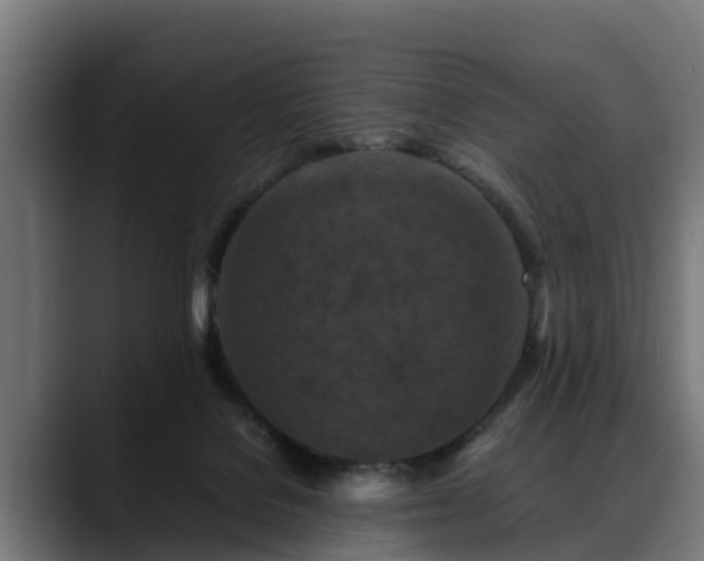 X0000088460076200705291538