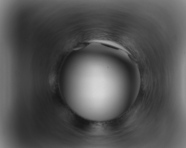 X0000088460079200705291538