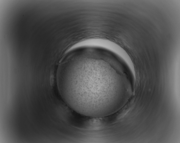 X0000088460080200705291538