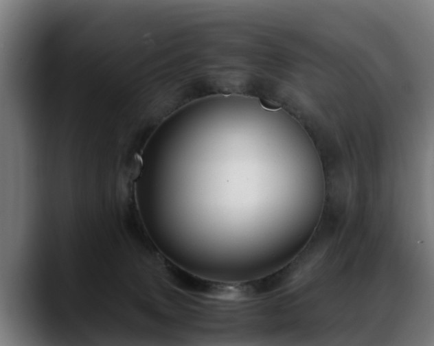 X0000088460083200705291538