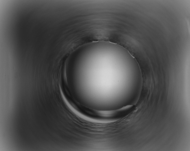 X0000088460084200705291538