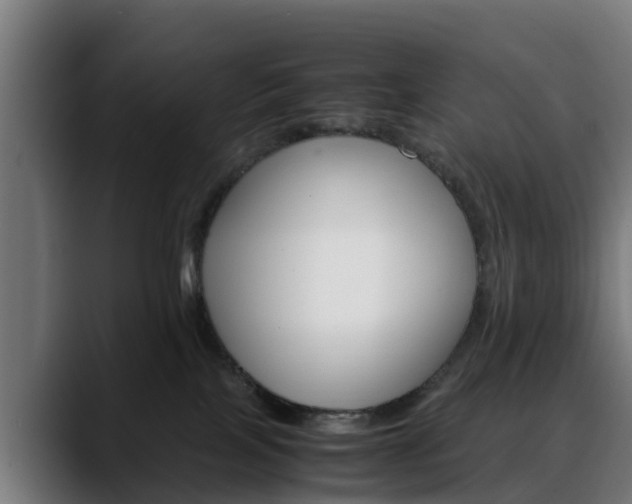 X0000088460089200705291538