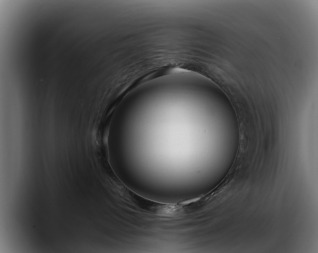 X0000088460096200705291538