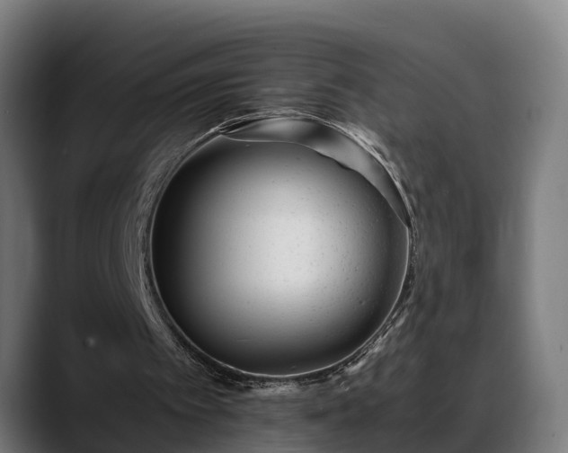 X0000088460097200705291538