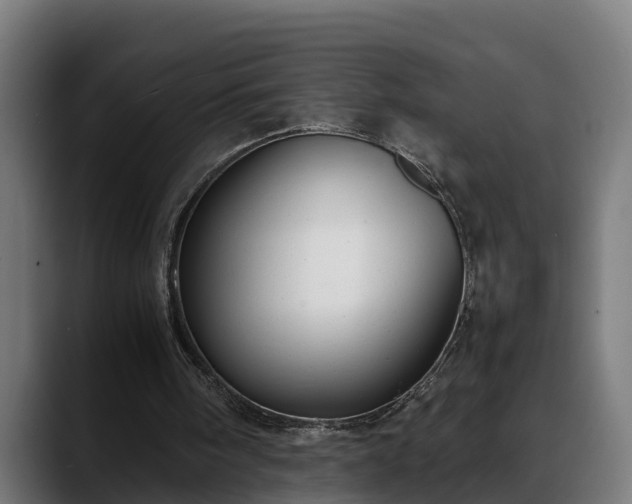 X0000088460098200705291538