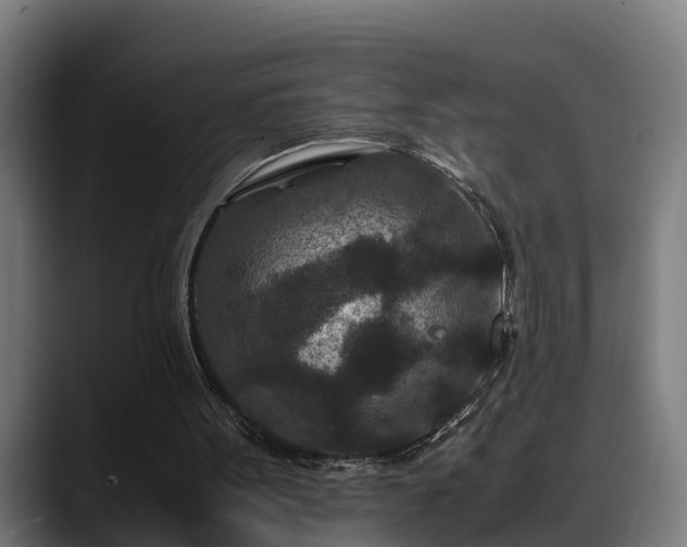 X0000088460099200705291538