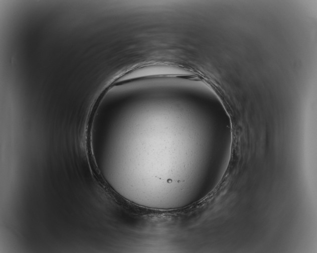 X0000088460100200705291538