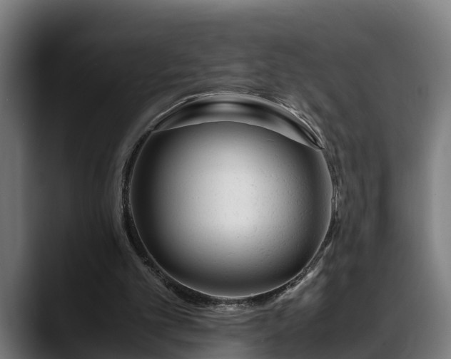 X0000088460101200705291538