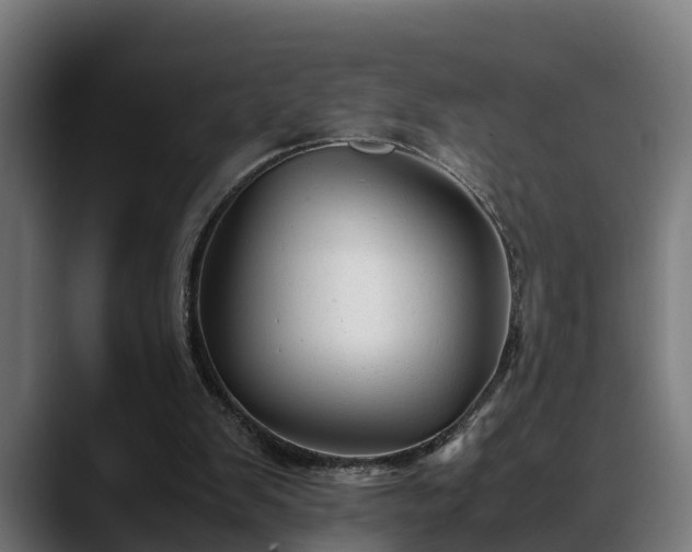 X0000088460103200705291538