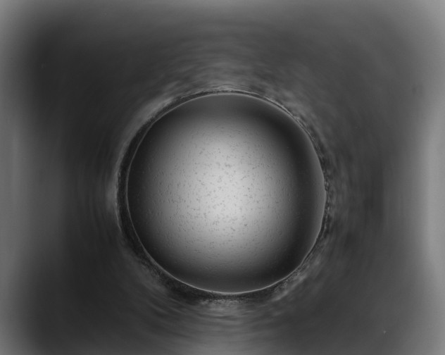 X0000088460104200705291538